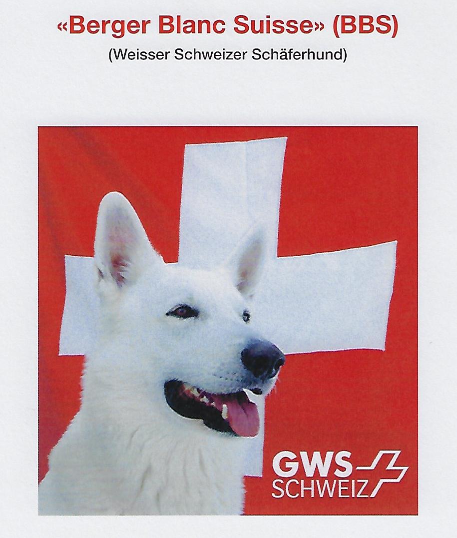 Weisser Schweizer Schäferhund